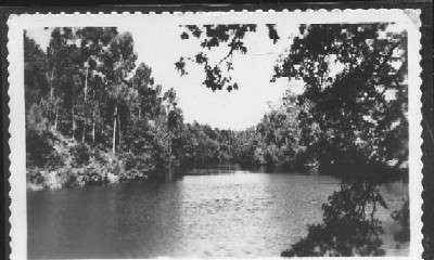 POSTAL DE PONTEVEDRA Nº 222 RIO LEREZ