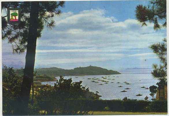 POSTAL DE VIGO. VISTA PARCIAL DE LA RIA Nº 28