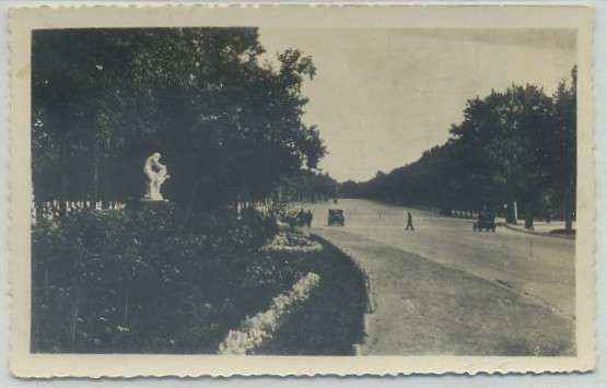 POSTAL DE MADRID: PASEO DE COCHES DEL RETIRO Nº 37