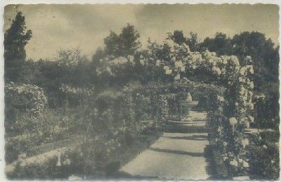 POSTAL DE MADRID. PARQUE DEL RETIRO. LA ROSALEDA