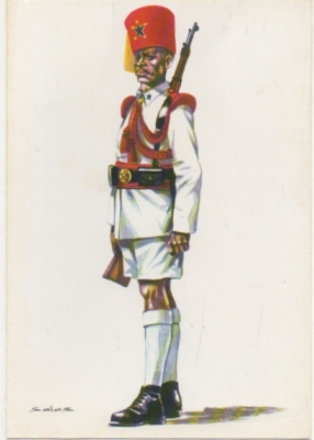 POSTAL UNIFORMES MILITARES SIGLO XX. SOLDADO DE LA GUARDIA COLONIAL DE GUINEA 1950