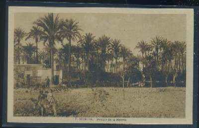 POSTAL ANTIGUA DE MURCIA - PAISAJE DE LA HUERTA Nº 7