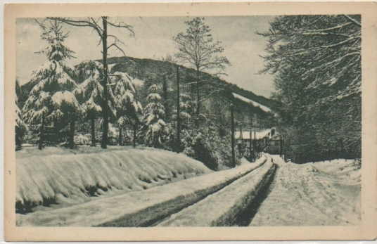POSTAL DE NAVARRA. RONCESVALLES. NAVARRA. ENTRADA DE LA VILLA (INVIERNO)
