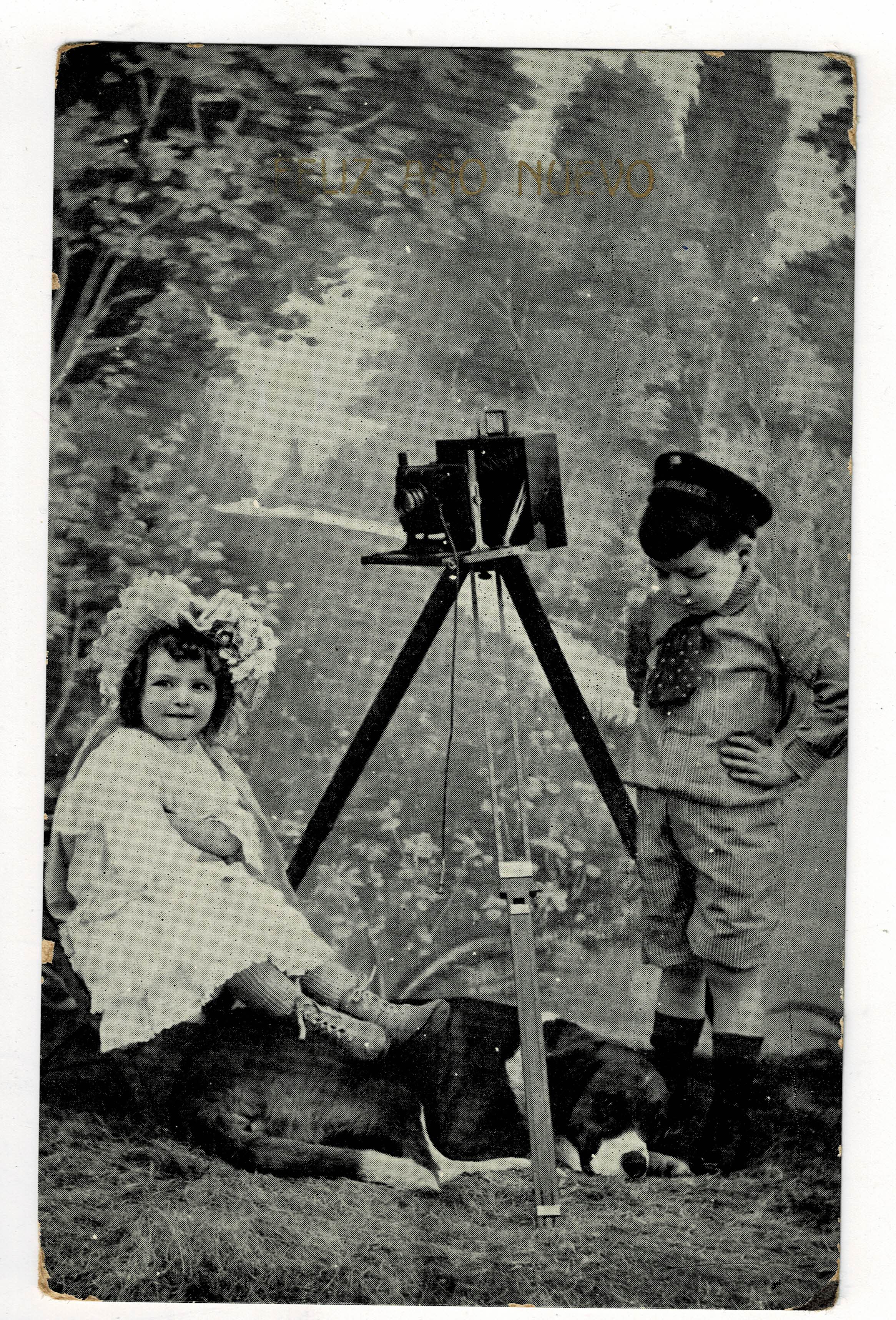 POSTAL DE NIÑOS. NIÑOS CON PERRO.