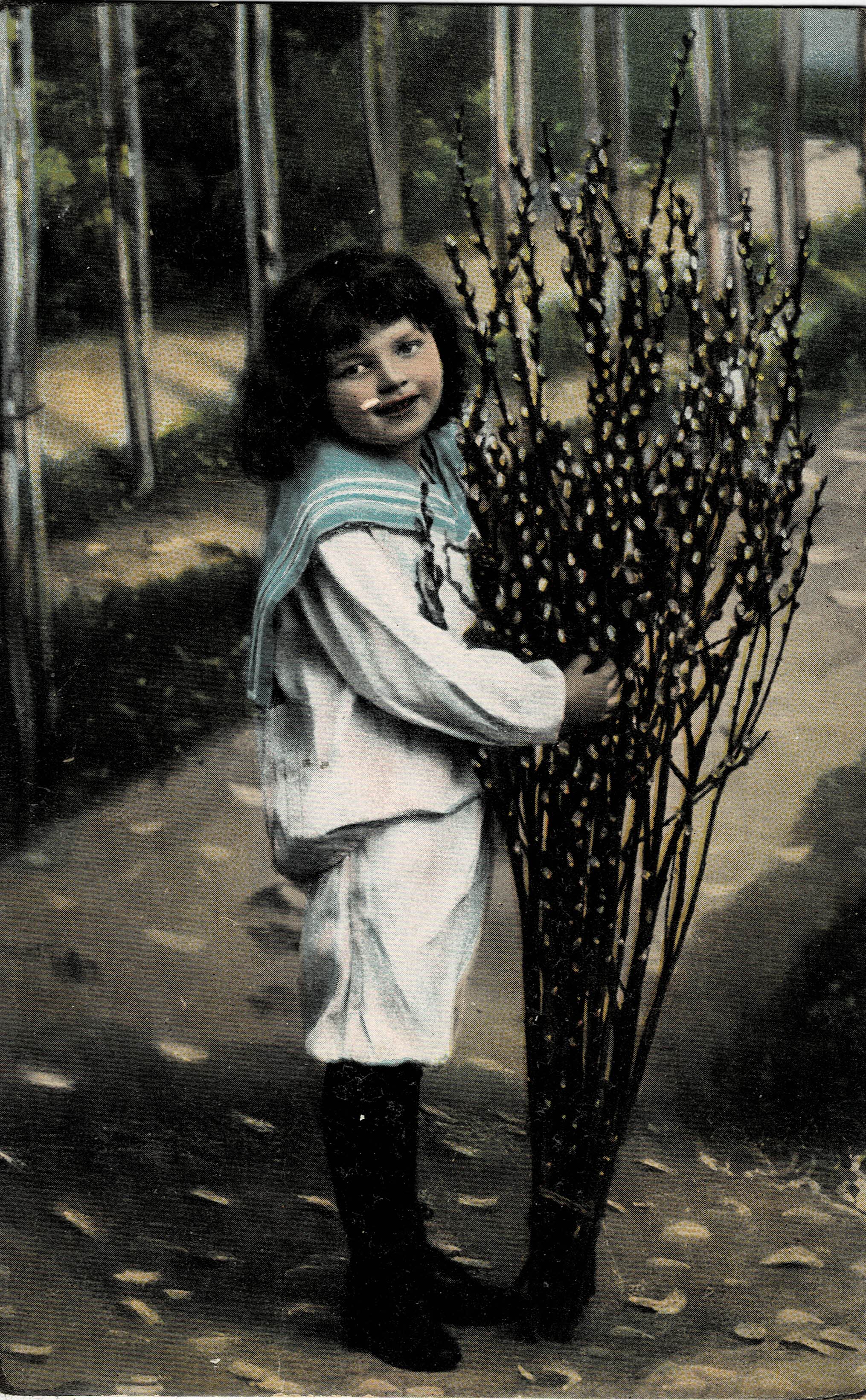 POSTAL NIÑO CON RAMAS.