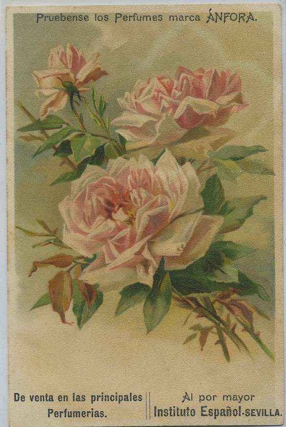 POSTAL PUBLICIDAD PERFUMES MARCA ANFORA