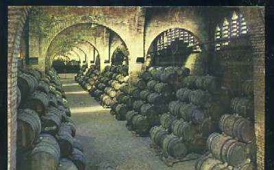 POSTAL CAVA CODORNIU SAN SADURNI DE NOYA - UNA BODEGA