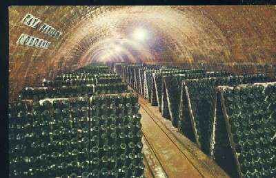 POSTAL CAVA CODORNIU SAN SADURNI DE NOYA - BOTELLA EN PUPITRE