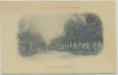 POSTAL DE PUBLICIDAD. GONZALEZ BYASS Y CIA. JEREZ. EXPLANADA DE ENVINADO