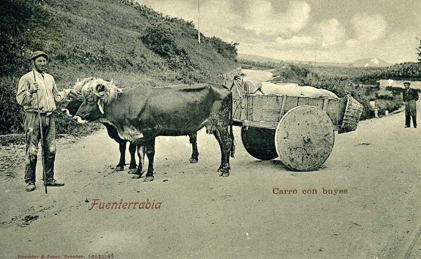 FUENTEBRAVIA. CARRO CON BUEYES