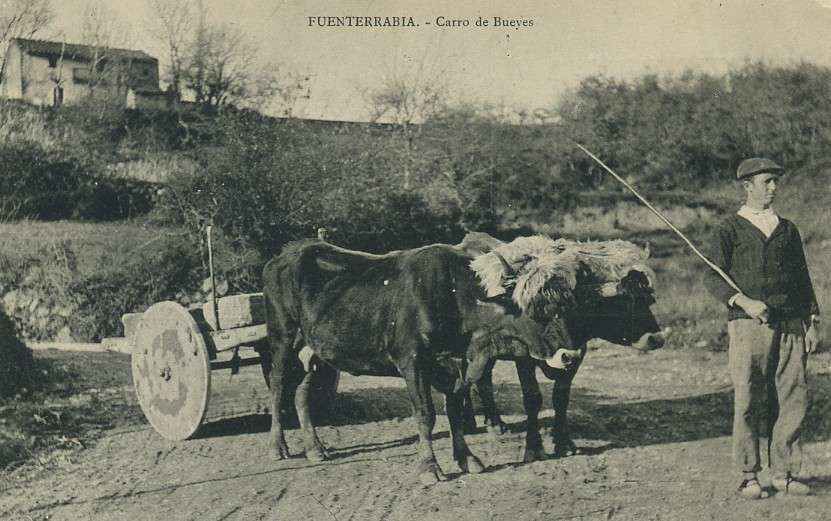 POSTAL DE GUIPUZCOA. FUENTERRABIA. CARRO DE BUEYES.