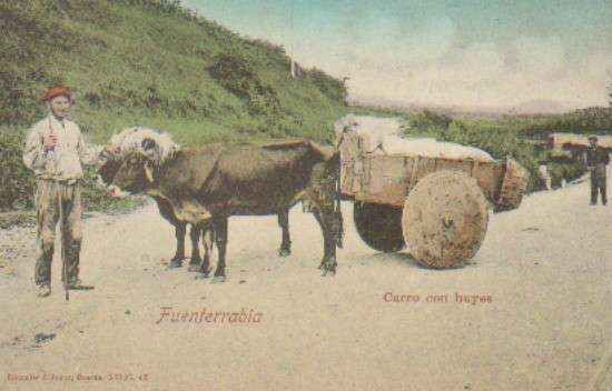 POSTAL ANTIGUA DE FUENTERRABIA. CARRO CON BUYES.