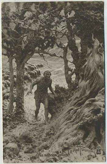 POSTAL RELIGIOSA. ANCIEN  TESTAMENT Nº 24. LE BUISSON ARDENT