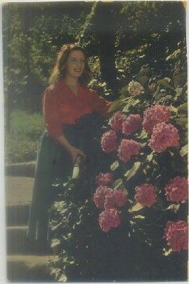 POSTAL ROMANTICA: SEÑORITA