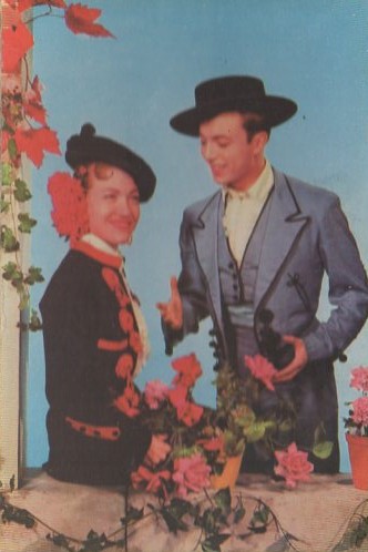 POSTAL PAREJAS FLAMENCO