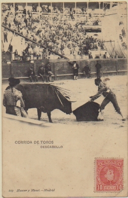 POSTAL TAURINA. COL. TAUROMAQUIA. CORRIDA DE TOROS. DESCABELLO Nº 213
