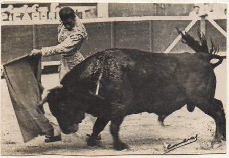 POSTAL TAURINA. PASE DE PECHO