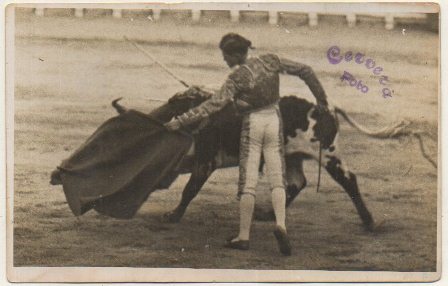 POSTAL TAURINA. FOTOGRAFICA. SIN DEFINIR. FOTO CERVERA