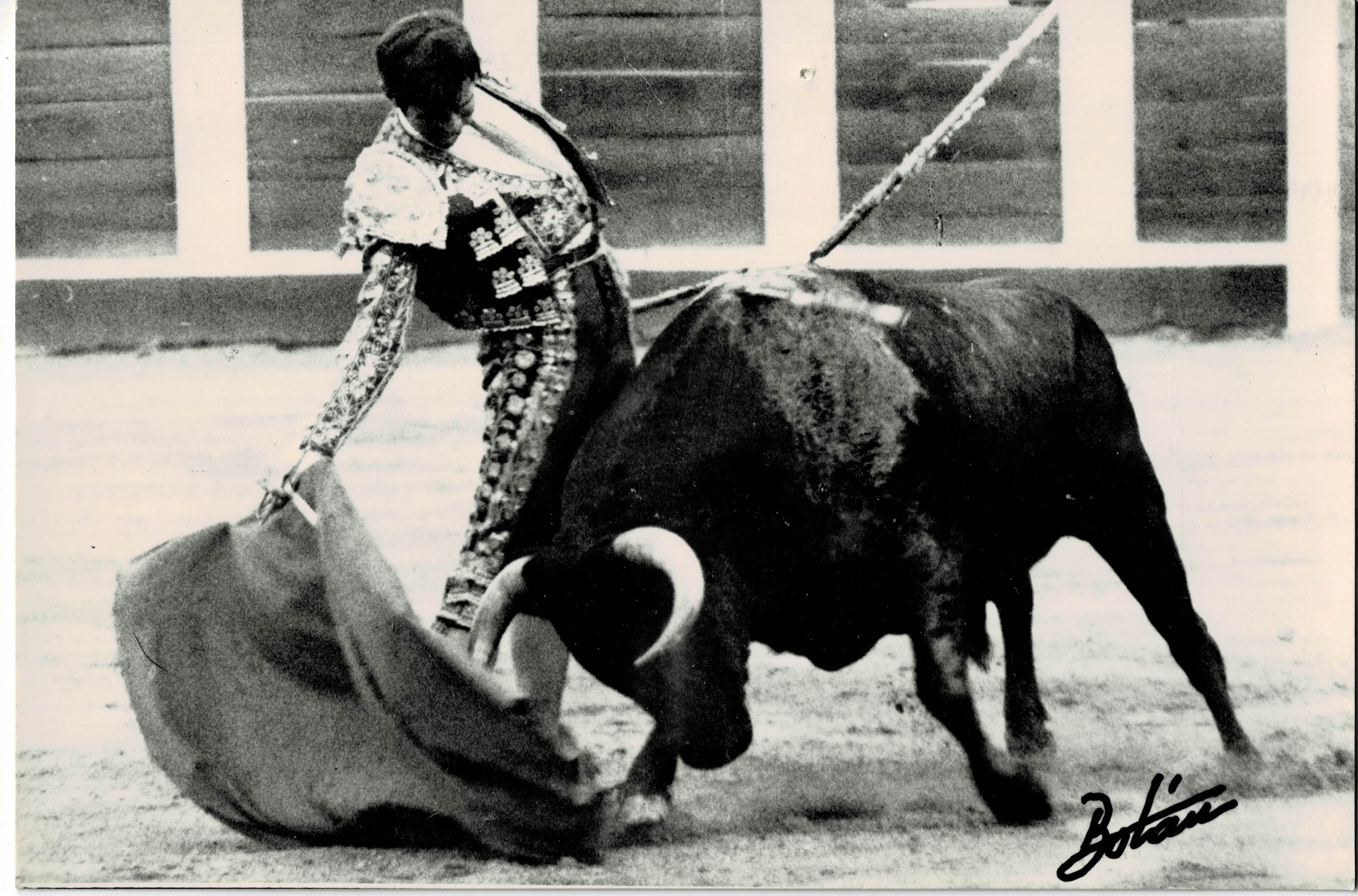 POSTAL TAURINA DEL CORDOBES. PASE CON LA DERECHA.