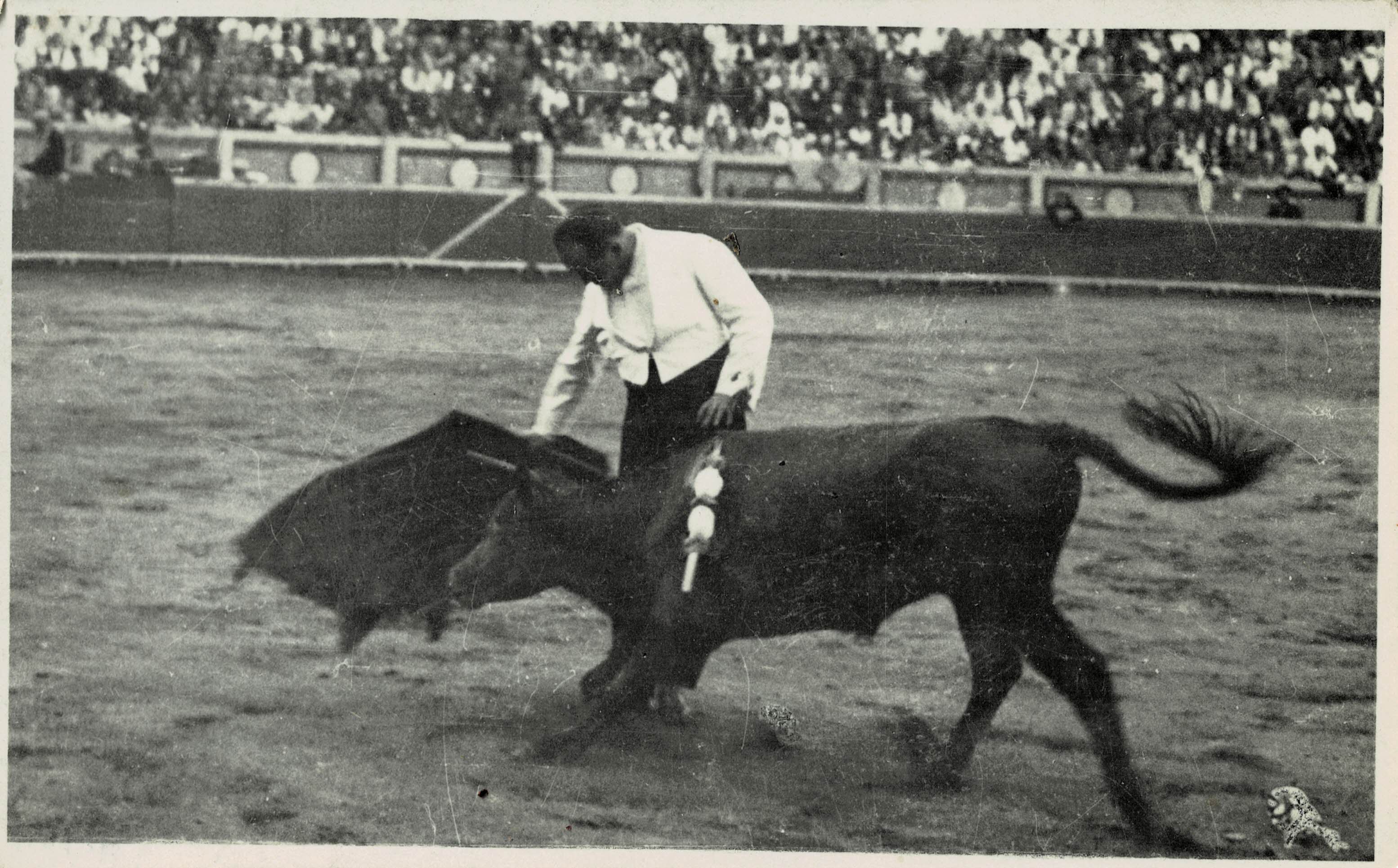 POSTAL TAURINA. CORRIDA DE TOROS DE UN PASE