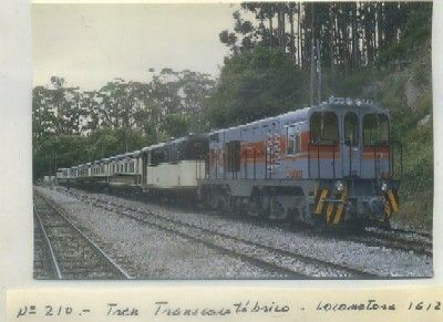 POSTAL DE TRENES. Nº 210. LOCOMOTORA DEL TREN TRANSCANTABRICO