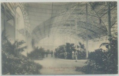 POSTAL ANTIGUA DE VALENCIA. EXPO. NACIONAL. UNBRACULO Nº 103