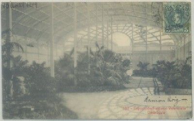 POSTAL ANTIGUA DE VALENCIA. EXPO. NACIONAL. UNBRACULO Nº 103