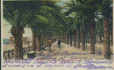 POSTAL ANTIGUA DE LA COMUNIDAD VALENCIANA ALICANTE PASEO DE LOS MARTIRES ESPLANADA