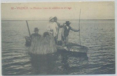 POSTAL ANTIGUA DE VALENCIA. ALBUFERA. CAZA DE VOLATILES EN EL LAGO Nº 82