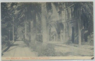 POSTAL ANTIGUA DE VALENCIA. ALAMEDA. PASEO DE LAS PALMERAS Nº 103