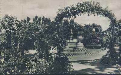 POSTAL ANTIGUA DE LA COMUNIDAD VALENCIANA VALENCIA Nº 157 JARDINES DEL REAL ROSALEDA