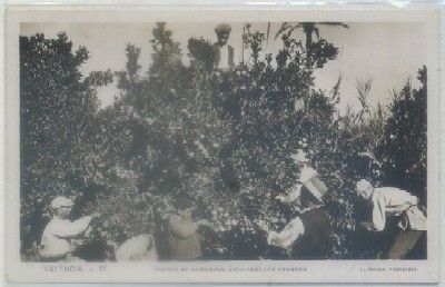 POSTAL ANTIGUA DE VALENCIA. HUERTO DE NARANJOS Nº 27