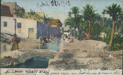 POSTAL ANTIGUA DE LA COMUNIDAD VALENCIANA ELCHE ACEQUIA DE MARCHENA