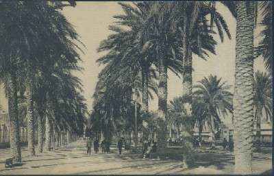 POSTAL ANTIGUA DE ALICANTE Nº 26 PASEO DE GOMIZ