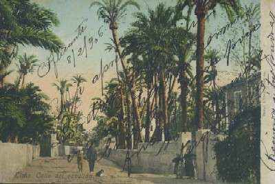 POSTAL DE ELCHE ALICANTE CALLE DEL CAPELLAN Nº 7