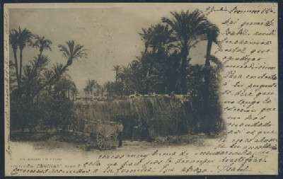 POSTAL ANTIGUA DE ELCHE UN ADUAR