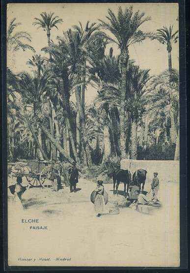 POSTAL ANTIGUA DE ELCHE PAISAJE