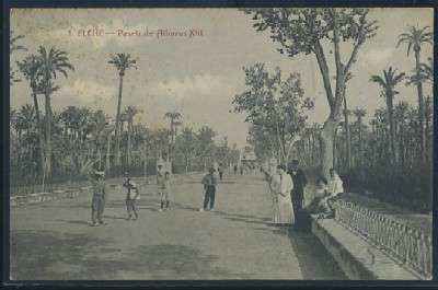POSTAL ANTIGUA DE ELCHE Nº 1 PASEO DE ALFONSO XIII