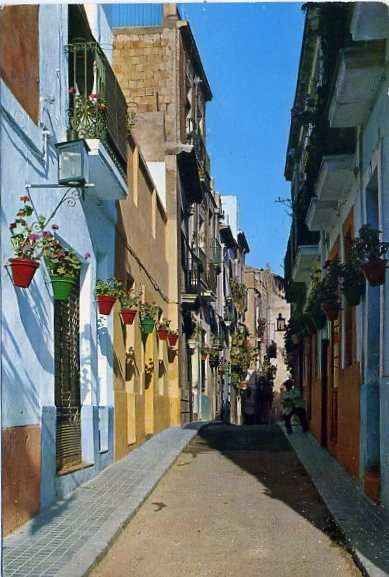 POSTAL COMUNIDAD VALENCIANA. ALICANTE Nº 8202. RUTA DE LAS FLORES