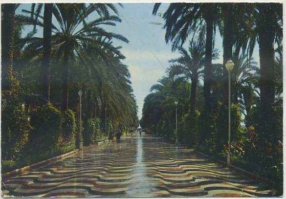 POSTAL DE ALICANTE. EXPLANADA ESPAÑA Nº 2002