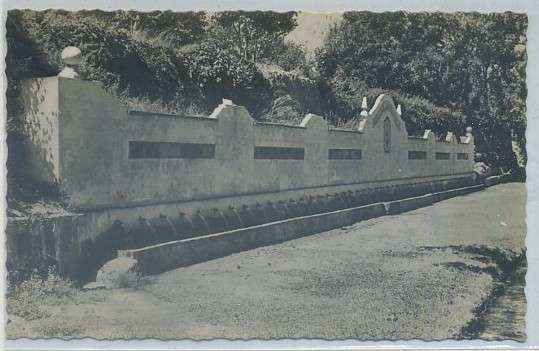 POSTAL DE VALENCIA. SEGORBE. FUENTE DE LOS CINCUENTA CAÑOS Nº 11