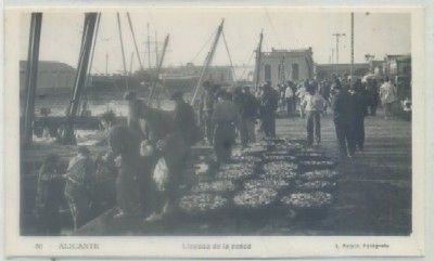 POSTAL ANTIGUA DE ALICANTE. LLEGADA DE LA PESCA Nº 50