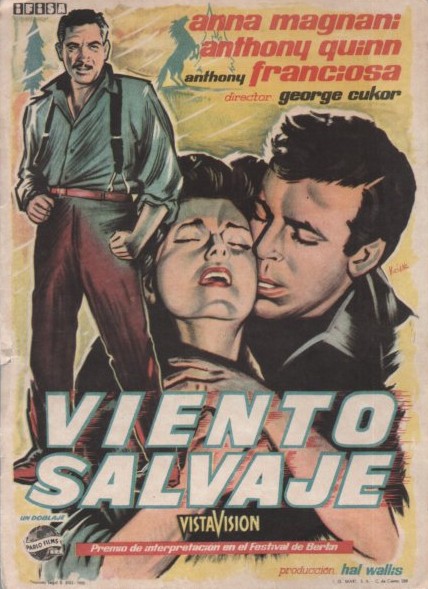 PROGRAMA DE CINE: VIENTO SALVAJE