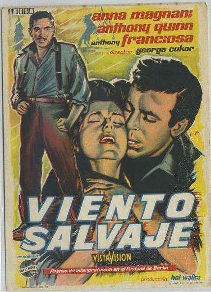 PROGRAMA DE CINE: VIENTO SALVAJE