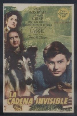 PROGRAMA DE CINE: LA CADENA INVISIBLE.