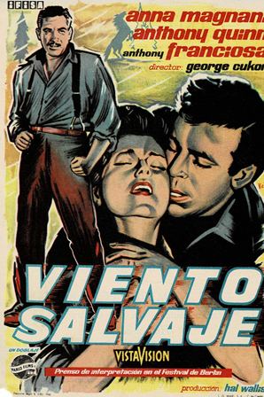 PROGRAMA DE CINE: VIENTO SALVAJE