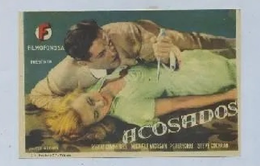 PROGRAMA DE CINE: ACOSADOS