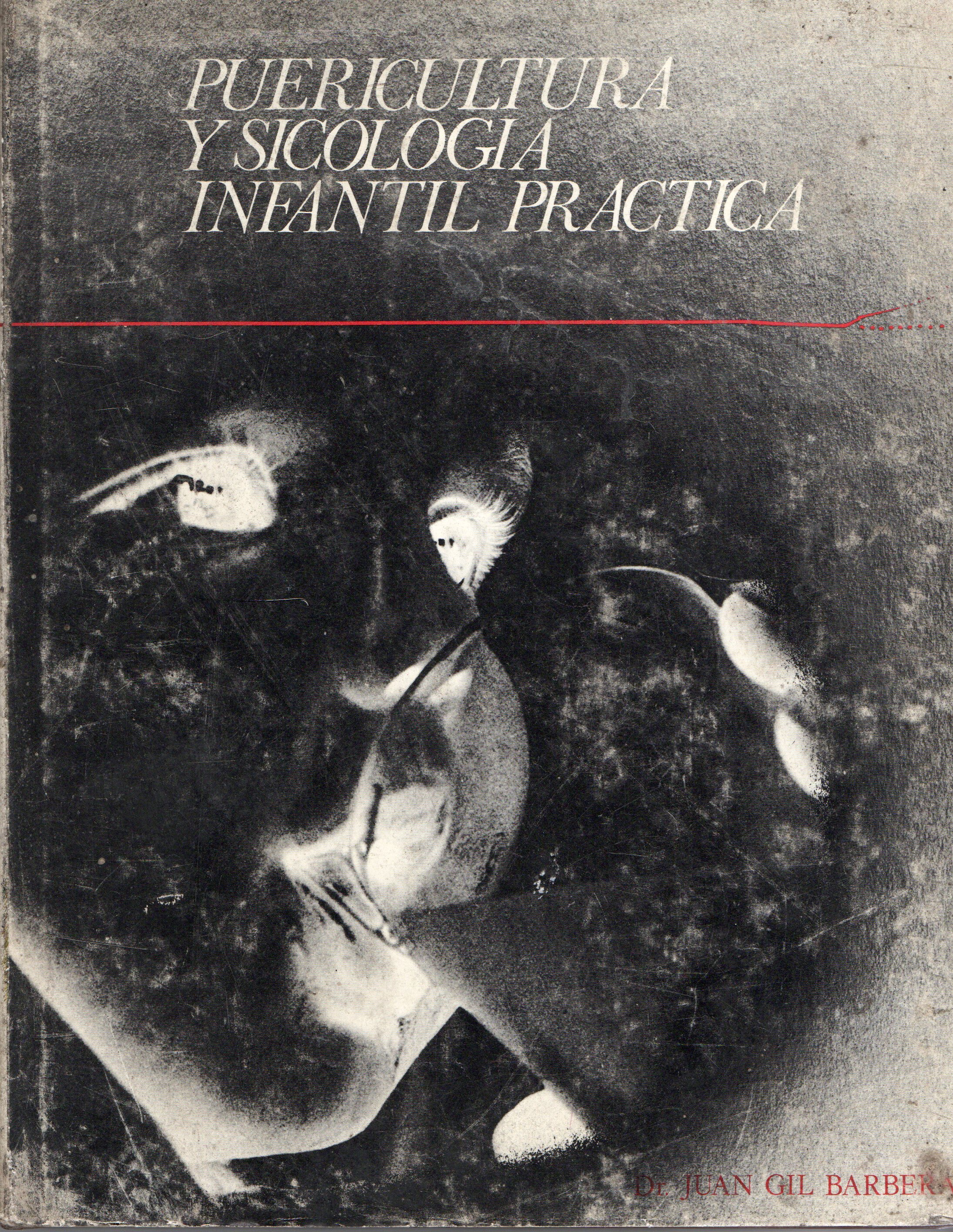 PUERICULTURA Y SICOLOGIA INFANTIL PRACTICA