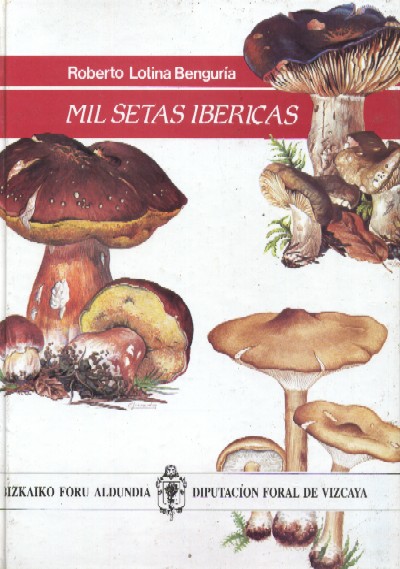 MIL SETAS IBERICAS