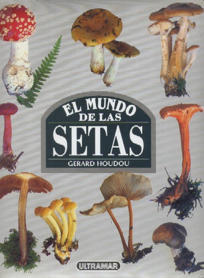 EL MUNDO DE LAS SETAS